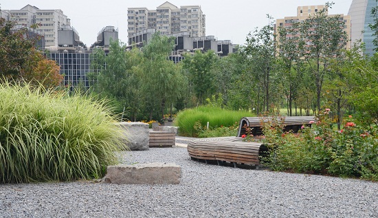 中央電視臺新臺址建設(shè)工程媒體公園設(shè)計（C標段）