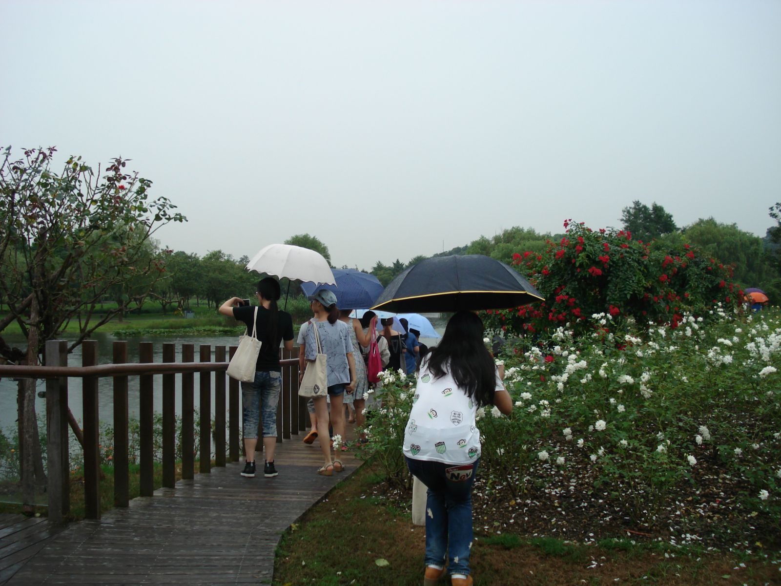 系列報道3：南林風(fēng)景園林學(xué)院走進(jìn)企業(yè)和學(xué)校