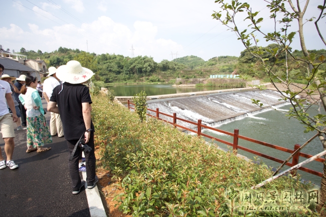 "未來村"鄉(xiāng)村建設(shè)研討會成功舉辦
