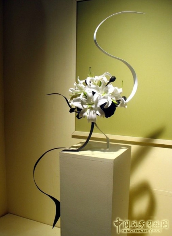 走近美國費(fèi)城花展