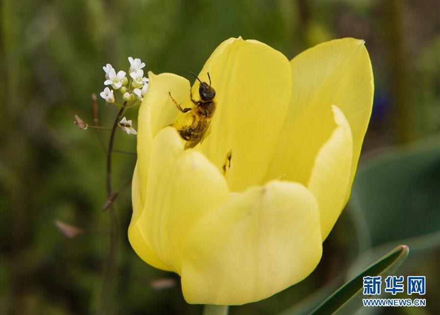 克里米亞奧普克斯基自然保護(hù)區(qū)自然風(fēng)光