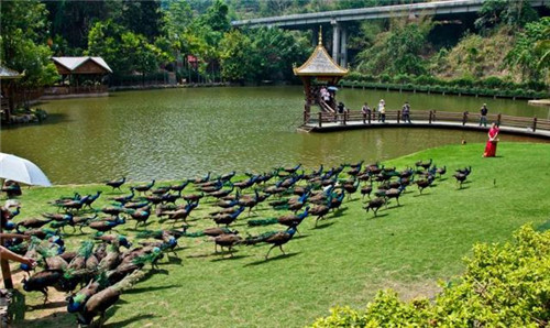 國內(nèi)最美的森林公園你去過幾個(gè)？