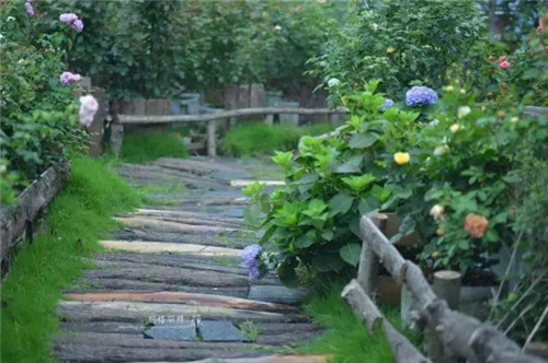 露臺(tái)上建造的花園