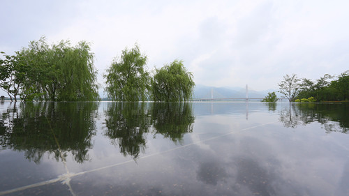 杭州園林：特色蘊于細節(jié)，匠心鑄就精品