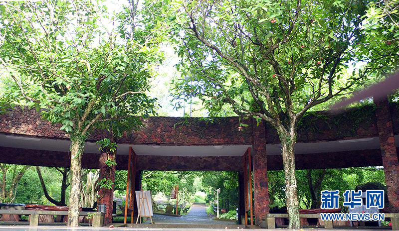 航拍海口石山火山群國(guó)家地質(zhì)公園 
