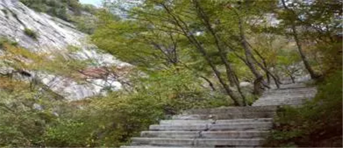 西安國(guó)家級(jí)森林公園——朱雀森林公園