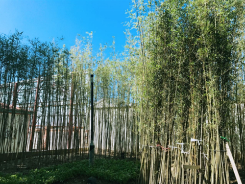 園冶杯專(zhuān)業(yè)獎(jiǎng)：天津譽(yù)峰園園林景觀工程