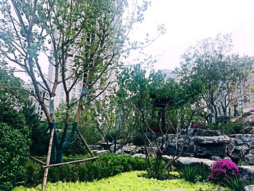 園冶杯專(zhuān)業(yè)獎(jiǎng)：天津譽(yù)峰園園林景觀工程