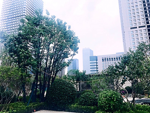 園冶杯專(zhuān)業(yè)獎(jiǎng)：天津譽(yù)峰園園林景觀工程