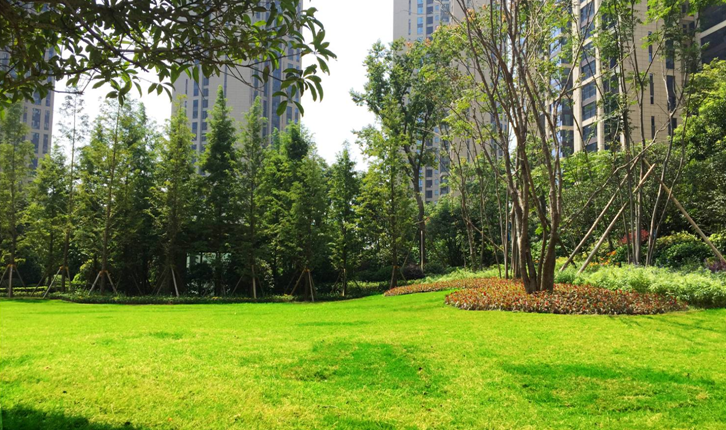 晟通?梅溪湖國(guó)際總部中心（一期）園林景觀工程