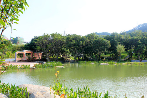 園冶杯專業(yè)獎(jiǎng)：草庵公園荷花池核心區(qū)景觀設(shè)計(jì)