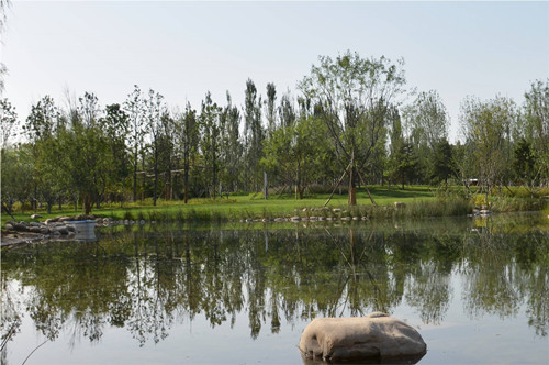 園冶杯專業(yè)獎(jiǎng)：固安中央公園景觀設(shè)計(jì)