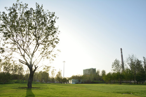 園冶杯專業(yè)獎(jiǎng)：固安中央公園景觀設(shè)計(jì)