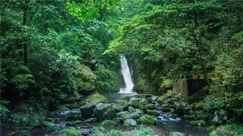 湖南一被人遺忘的國(guó)家級(jí)森林公園