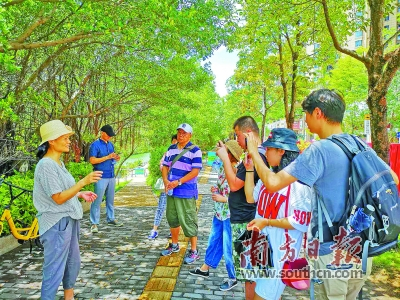 深圳百米路段景觀工程耗資千萬(wàn)被叫停