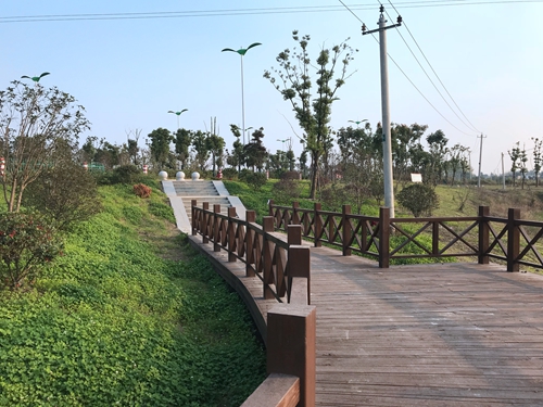 園冶杯專業(yè)獎：店忠路（新合馬路至環(huán)巢湖大道段）改建工程景觀設(shè)計(jì)