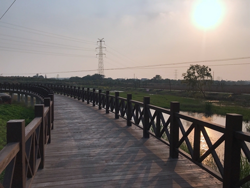 園冶杯專業(yè)獎：店忠路（新合馬路至環(huán)巢湖大道段）改建工程景觀設(shè)計(jì)