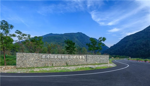 超低造價的生態(tài)景觀 | 秦嶺國家植物園人工濕地