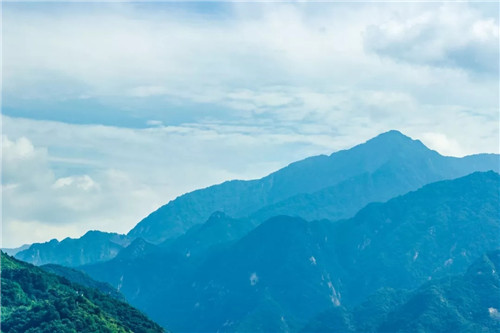 超低造價的生態(tài)景觀 | 秦嶺國家植物園人工濕地