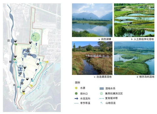 超低造價的生態(tài)景觀 | 秦嶺國家植物園人工濕地
