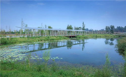 超低造價的生態(tài)景觀 | 秦嶺國家植物園人工濕地