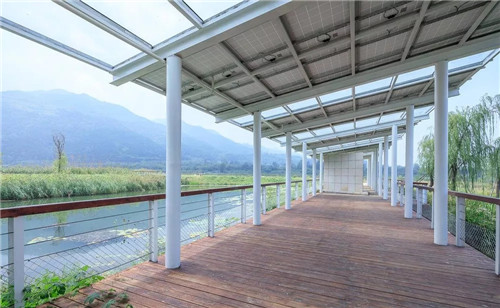 超低造價的生態(tài)景觀 | 秦嶺國家植物園人工濕地