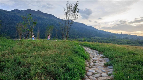 超低造價的生態(tài)景觀 | 秦嶺國家植物園人工濕地