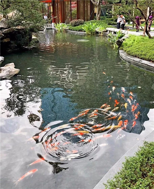 高宅大園　國風(fēng)賦新丨深圳泰禾金尊府