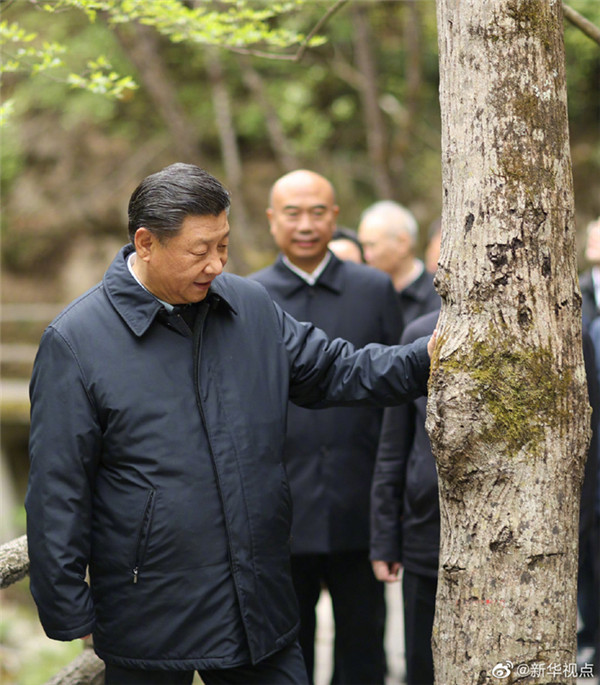 習(xí)近平：要做守護(hù)秦嶺生態(tài)的衛(wèi)士