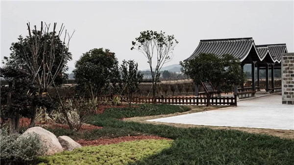 偶木景觀|千年陸坊：心學(xué)故里的時代新生