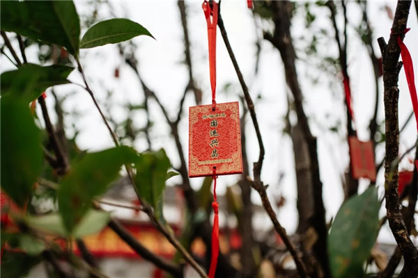 偶木景觀|千年陸坊：心學(xué)故里的時代新生