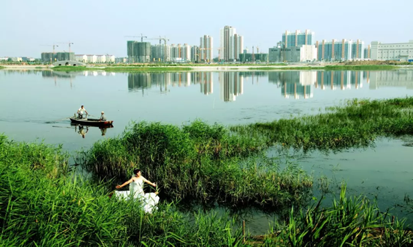 保護一方濕地，建設(shè)生態(tài)衡水