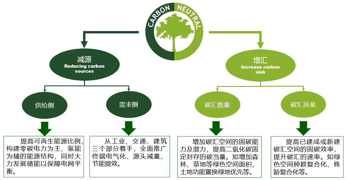 石鐵矛：“碳中和”導向下的城市綠地系統(tǒng)碳匯