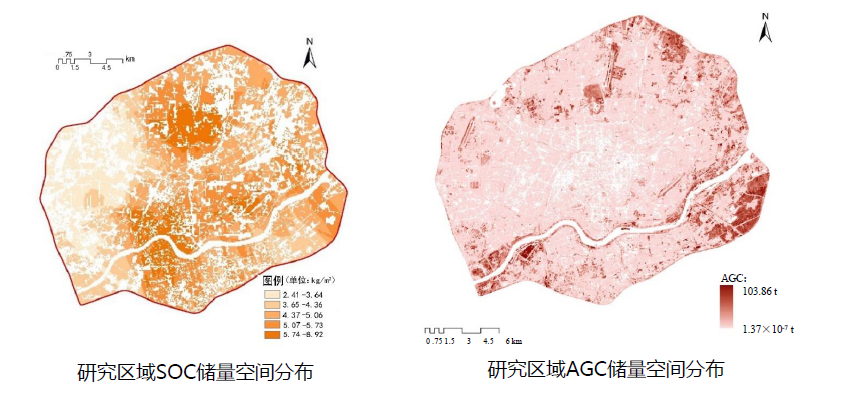 石鐵矛：“碳中和”導向下的城市綠地系統(tǒng)碳匯