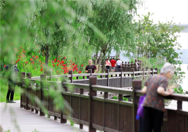 嶺南設(shè)計丨衡陽東洲島綜合開發(fā)景觀設(shè)計