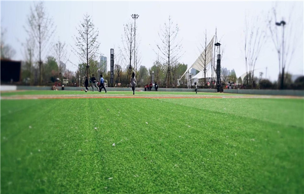 平輿縣縣城綠地景觀提升改造工程設(shè)計(jì)施工一體化項(xiàng)目（EPC）