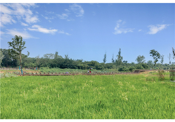 蜀山鄉(xiāng)村振興示范區(qū)元塘、大嶺南及小嶺南村民組人居環(huán)境綜合整治項(xiàng)目