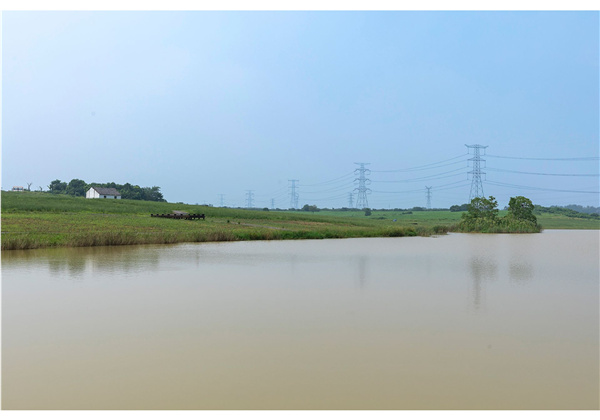 蜀山鄉(xiāng)村振興示范區(qū)元塘、大嶺南及小嶺南村民組人居環(huán)境綜合整治項(xiàng)目