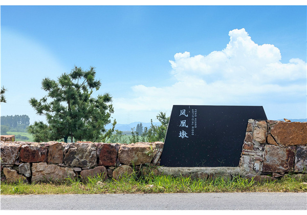 蜀山鄉(xiāng)村振興示范區(qū)元塘、大嶺南及小嶺南村民組人居環(huán)境綜合整治項(xiàng)目