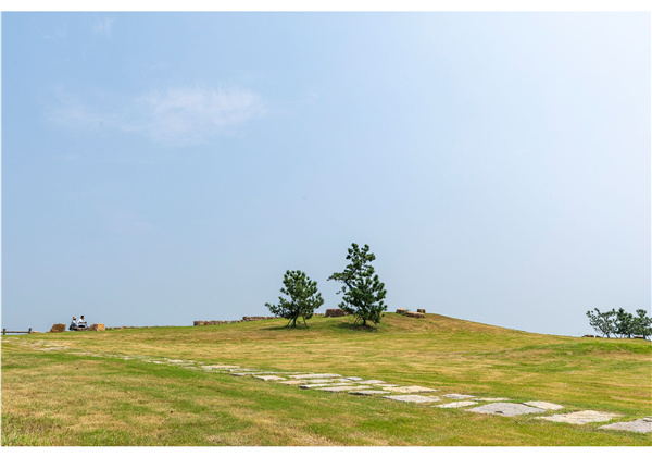 蜀山鄉(xiāng)村振興示范區(qū)元塘、大嶺南及小嶺南村民組人居環(huán)境綜合整治項(xiàng)目