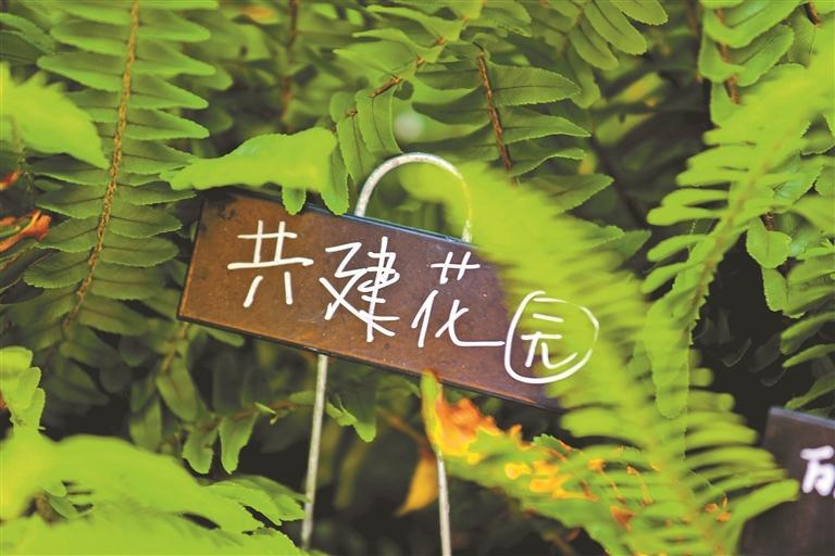 深圳：建設(shè)城市里的公園與公園里的城市