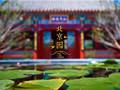 2019園冶杯專業(yè)獎(jiǎng)丨2019北京世園會(huì)北京園