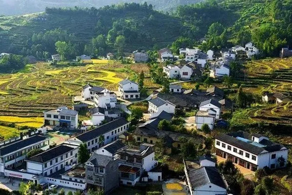 七大舉措做好鄉(xiāng)村振興這篇大文章